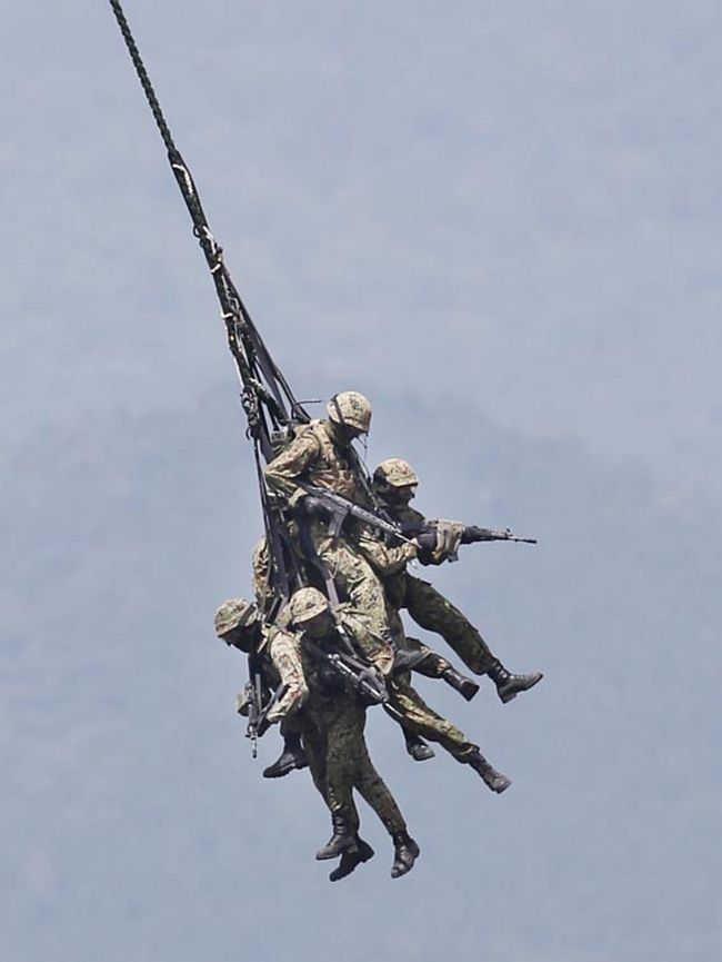 COLO-Y_zps87dc6cb2.jpg