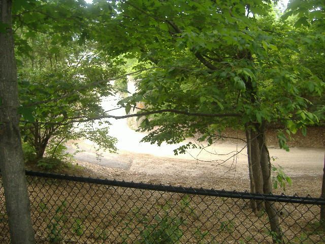 DSCF1253_zps2511daee.jpg