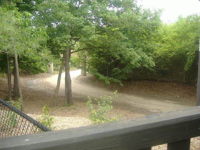 DSCF1254_zps436e5457.jpg