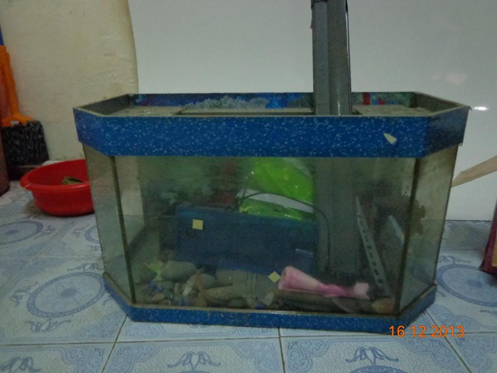 quạt hơi nước,máy giặt,lót sàn PCX,hồ cá đầy đủ phụ kiện,giày fullbox,cặp da bò,..... - 3