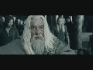 the-power-of-gandalf-compels-you_zpsf006