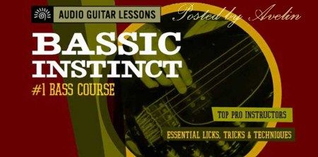 TrueFire - Audio Guitar Lessons - Bassic Instinct Training (2004) TrueFire - Audio Guitar Lessons - Bassic Instinct Training (2004)