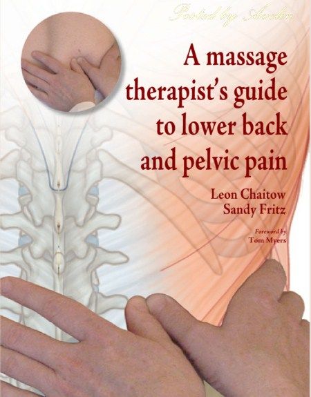 A Massage Therapist s Guide to Lower Back and Pelvic Painv