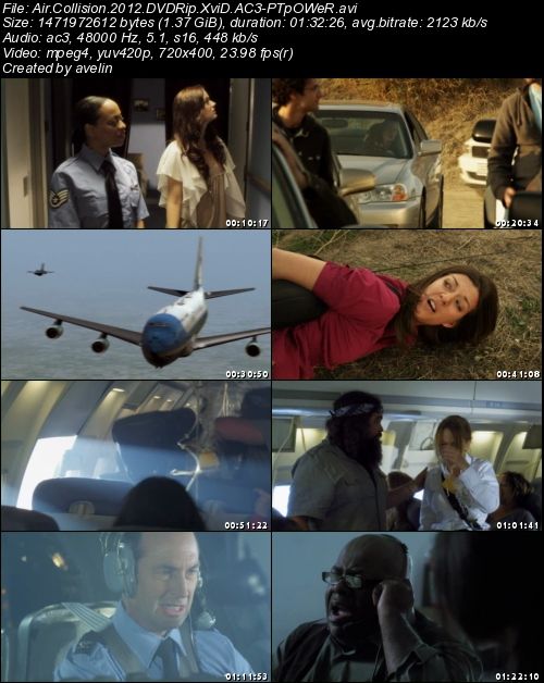 Air Collision (2012) DVDRip XviD AC3-PTpOWeR