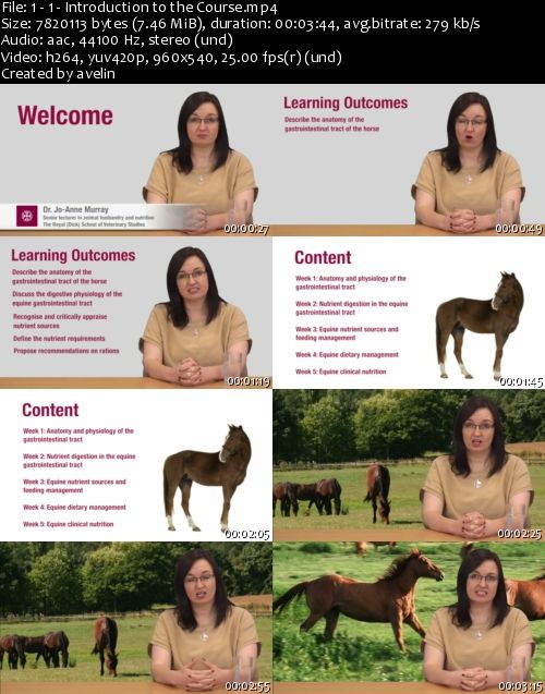 The University of Edinburgh: Coursera - Equine Nutrition (2013) The University of Edinburgh: Coursera - Equine Nutrition (2013)