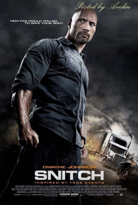 Snitch (2013) Cam New Source Read Info  -  TommieCook