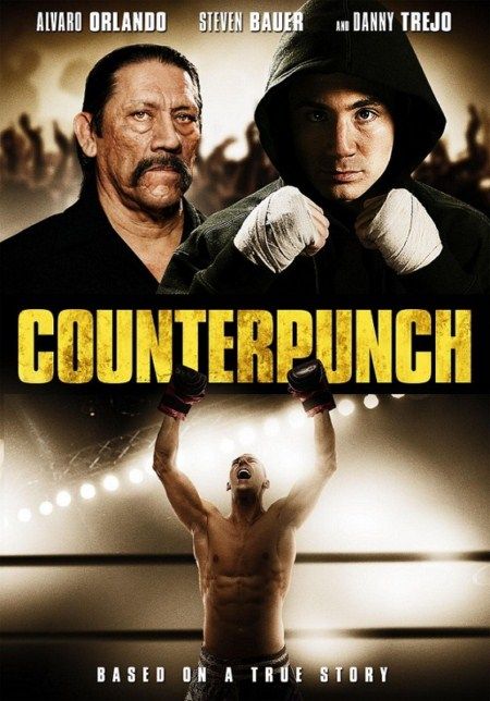 Counterpunch (2013) DVDRip x264 AAC-BiGKATS