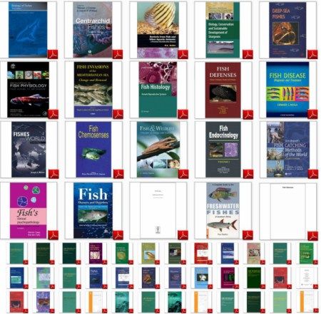 All Animals Encyclopedia - Fish All Animals Encyclopedia - Fish