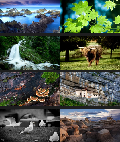 Must Have Full HD Wallpapers Pack Part 7-FiLELiST Must Have Full HD Wallpapers Pack Part 7-FiLELiST