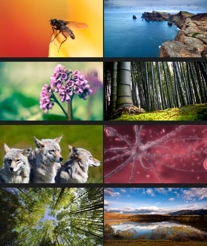 Must Have Full HD Wallpapers Pack Part 8-FiLELiST Must Have Full HD Wallpapers Pack Part 8-FiLELiST