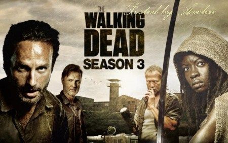 The-Walking-Dead-Season-3-1_zps00c23292.jpg