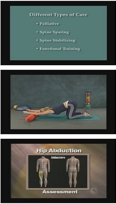 Rehabilitation of the Spine by Craig Liebenson Rehabilitation of the Spine by Craig Liebenson