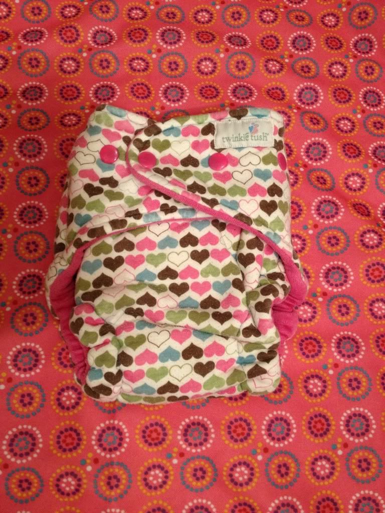 Twinkie Tush Fitted 25ppd Twinkie Tush Fitted 25ppd