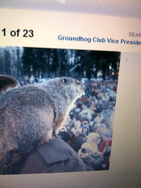 Phil the ground hog didn't see his shadow todayWahooEarly spring here we come (c) jillianml1 see it here