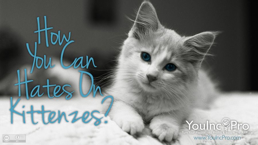 how you can hates on kittenzes?