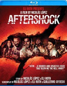 Aftershock2012BluRay1080p51CH_zps09c2631d.jpg