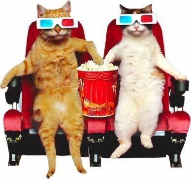 cats photo MovieTime.jpg