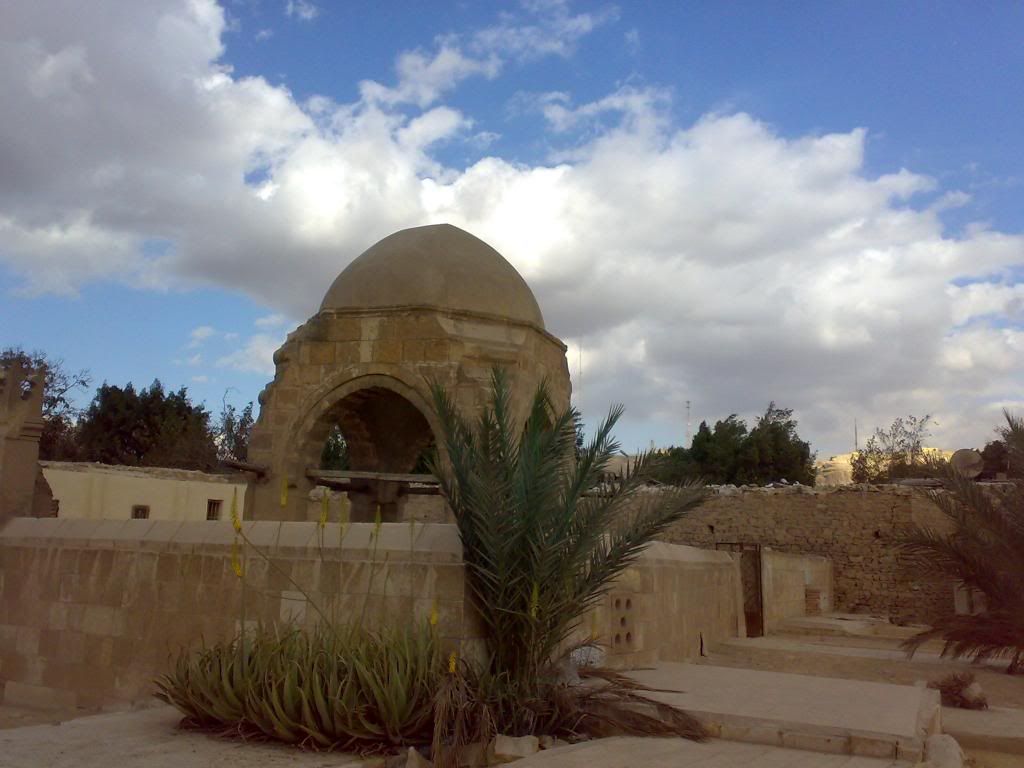صورة