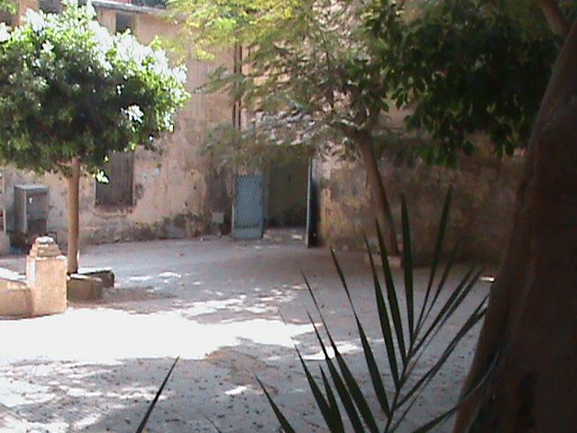 صورة