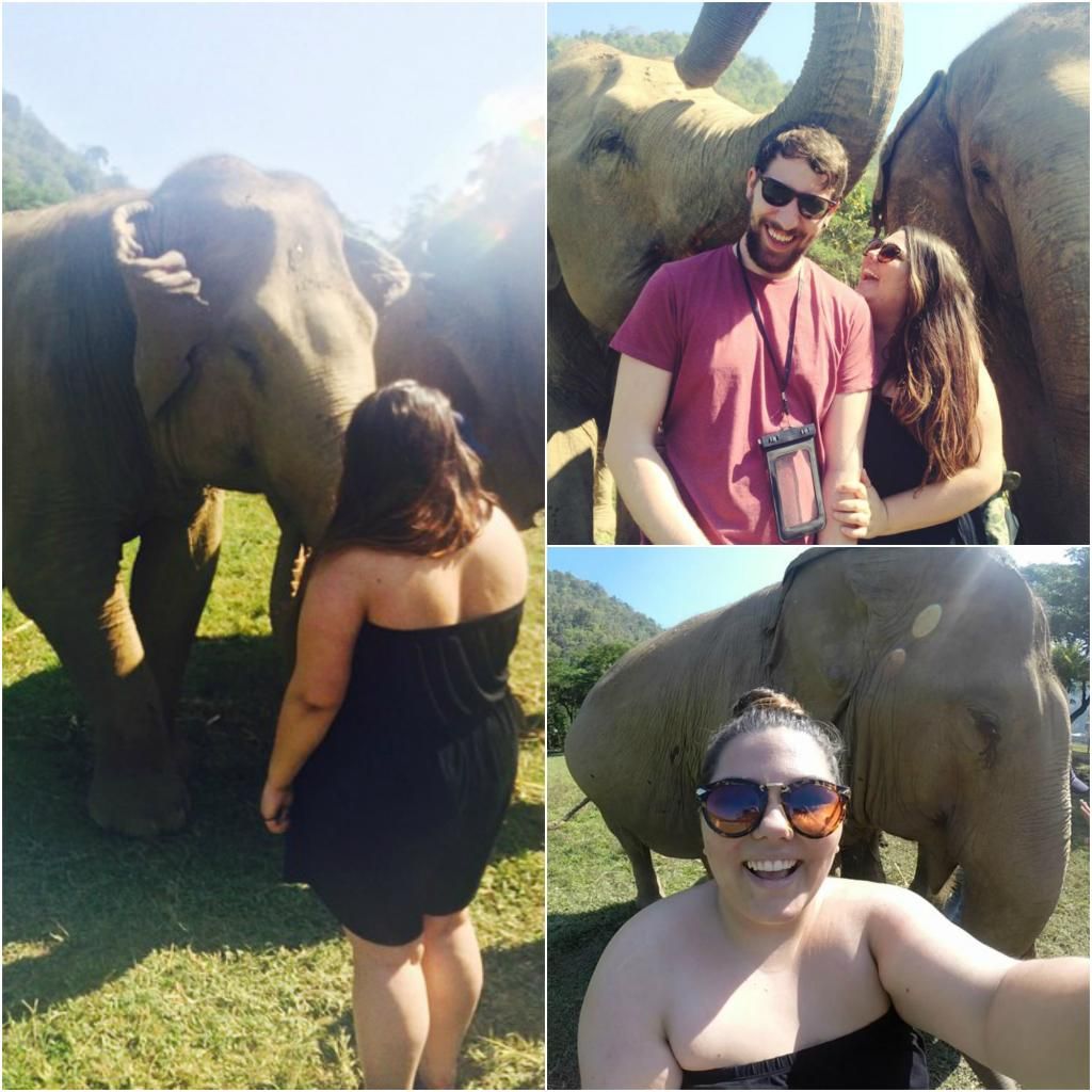 photo ChiangMaiElephantsanctuary_zps23aac55a.jpg