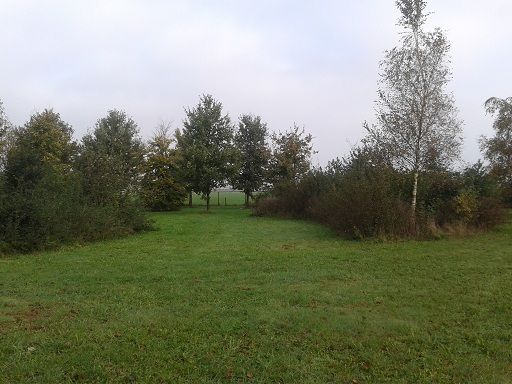  photo 20141028_103652_zpsb1ae674a.jpg