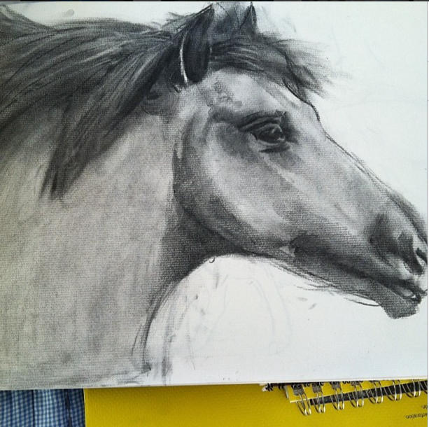 http://i1292.photobucket.com/albums/b576/muzicaleagle/CharcoalHorse_zps5e9232f6.png