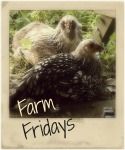 Farm Fridays Link-Up