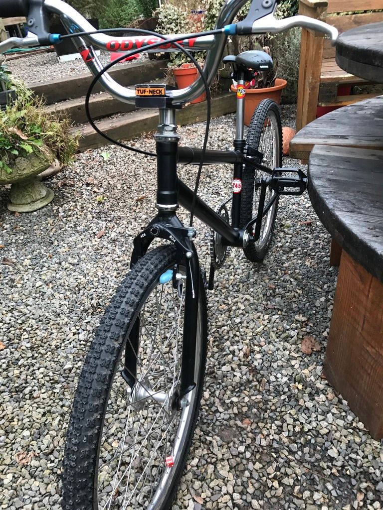 curtis bmx for sale