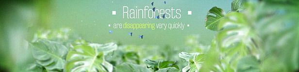 The Rainforests Titles After Effects Templates