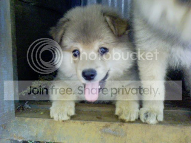 DSC00142_zps36b9d660.jpg