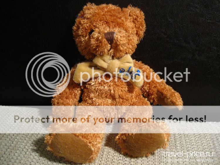 Сувенир из Парижа - мишка teddy
